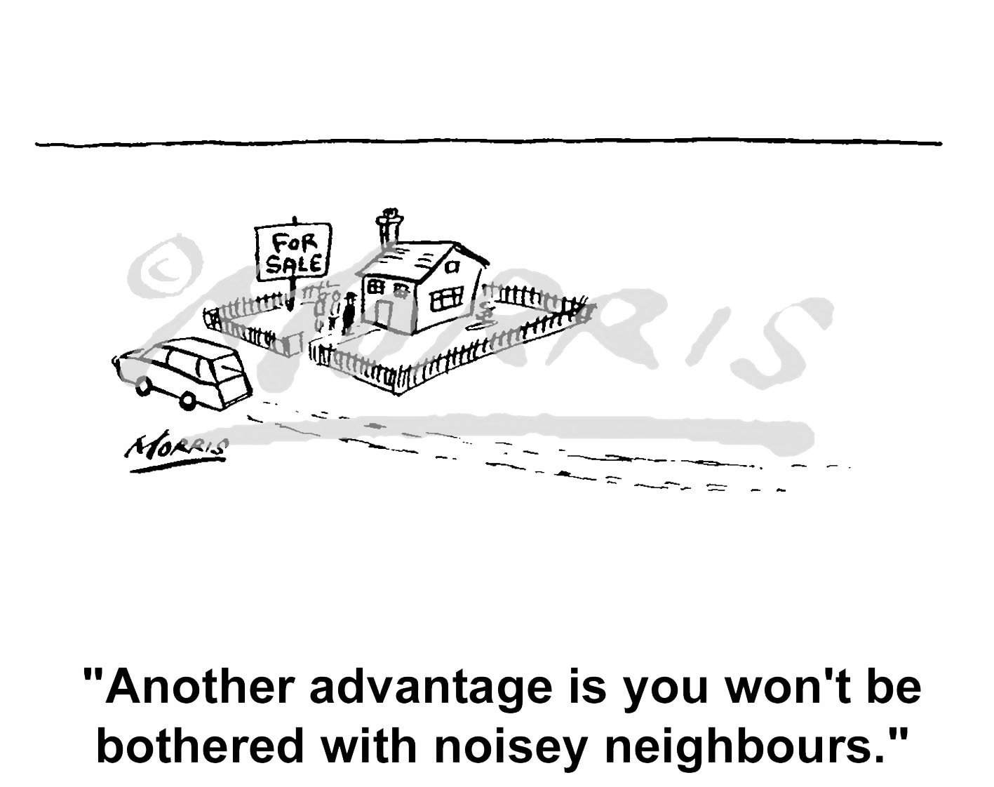 Estate Agent cartoon, Real Estate comic